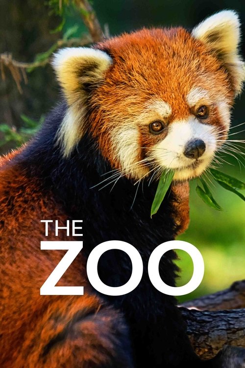 O Zoológico (2017)