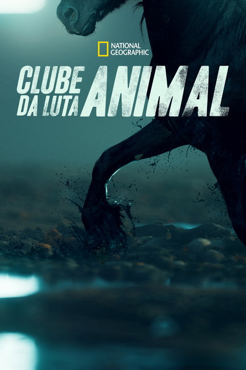 Clube da Luta Animal (2013)