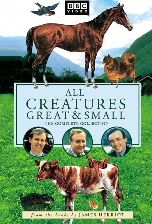 Criaturas Grandes e Pequenas (1978)