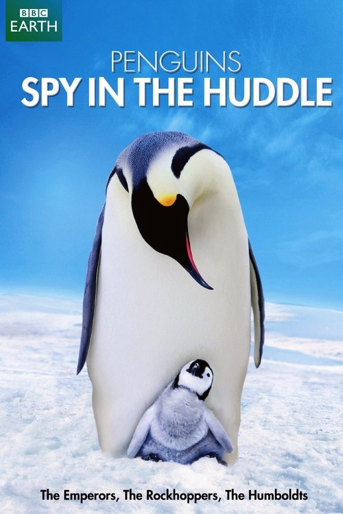 Penguins: Spy in the Huddle (2013)