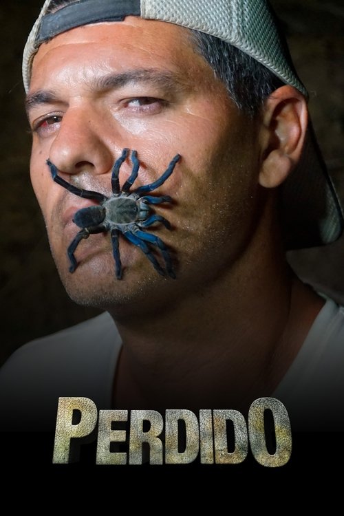 Perdido (2014)