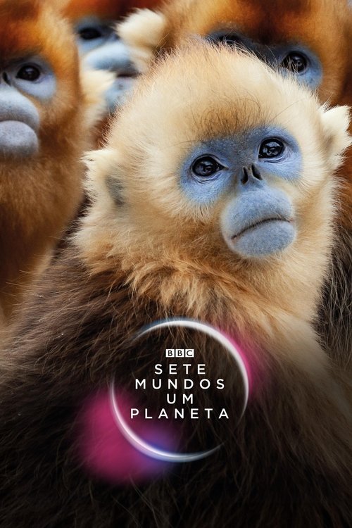 Sete Mundos, Um Planeta (2019)