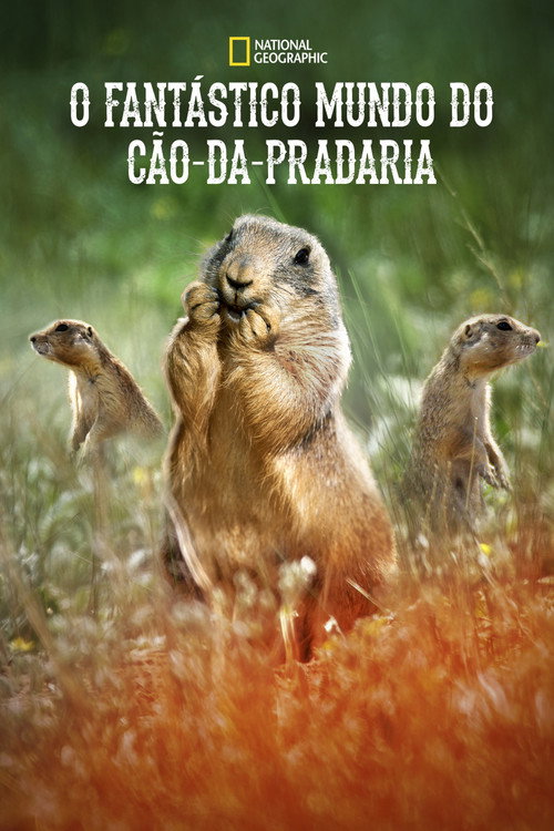 O Fantástico Mundo do Cão-da-Pradaria (2019)