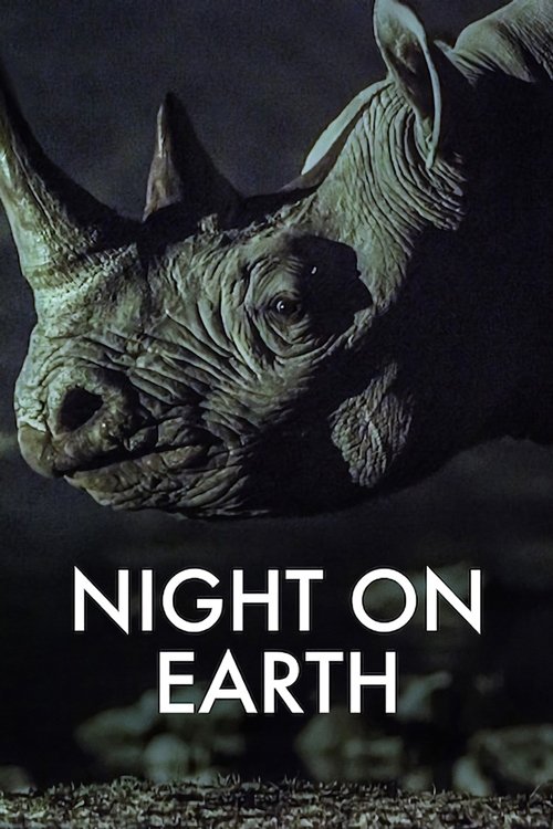 A Terra à Noite (2020)